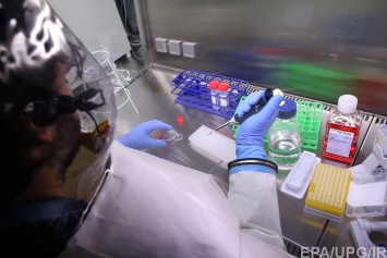 Вирусологи США скептически отнеслись к заявлению Путина о российском лекарстве от Эболы