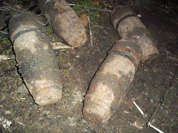 «Урожайная» Петровка: на Николаевщине обезвредили 21 артснаряд и 6 взрывателей