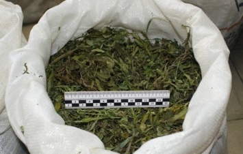 На Днепропетровщине задержали торговца марихуаной