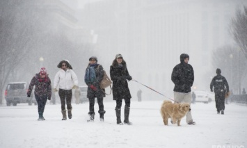 Самая сильная за 100 лет снежная буря "Джонас" достигла Вашингтона