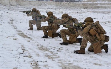 НАТО поможет Украине в создании Сил специальных операций