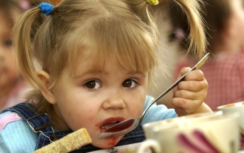 В Николаеве родители пытаются сдвинуть с мертвой точки проблему некачественного питания в детских садах