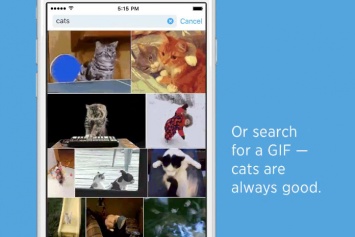 Twitter запускает поиск по анимированным GIF-изображениям