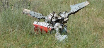 В Ленинградской области при крушении вертолета погиб пилот
