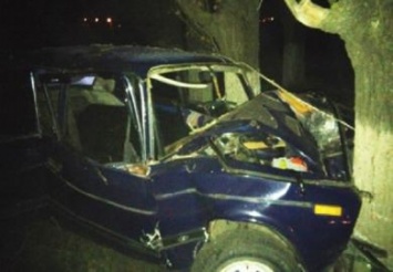 На Днепропетровщине «ВАЗ» врезался в дерево: спасатели «вырезали» водителя из авто