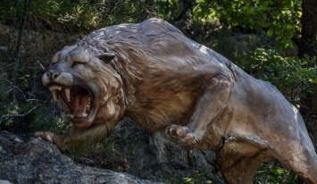 Ученые хотят клонировать львов времен Ледникового периода