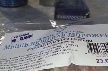 Боевиков «ДНР» заставляют есть мышей (видео)