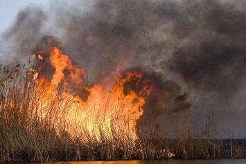 В Николаевской области участились случаи пожаров на открытых территориях