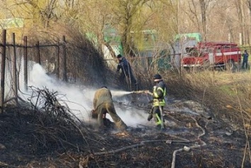 В Мариуполе огонь, спаливший камыши, чуть не подобрался к заправкам (Фотофакт)