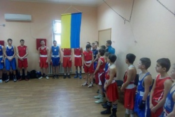 В областных соревнованиях по боксу принимают участие спортсмены из большого Доброполья