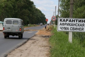 После митинга фермеров в Крыму частично отменен карантин по африканской чуме свиней