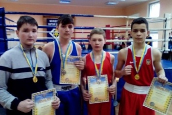 Боксеры Доброполья получили ряд медалей на соревнованиях