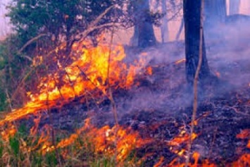 В Славянском районе произошел крупный пожар
