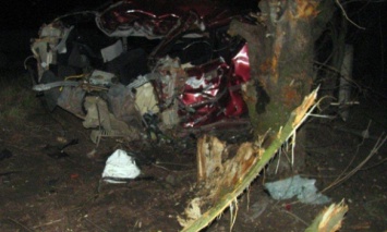 В Хмельницкой обл. автомобиль въехал в дерево, погибло двое человек
