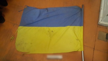 Жителя Черниговской области, сорвавшего и выбросившего на свалку флаг Украины, отправили в психушку