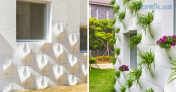 Креатив на фасаде: после дождя выемки на стене превращаются в вазы цветов