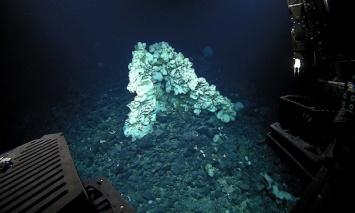 На глубине 2 км ученые обнаружили гигантское существо (фото)