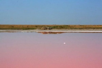 В Херсонской области есть розовое озеро с целебной водой (фото)
