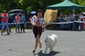 В Северодонецке прошла выставка собак
