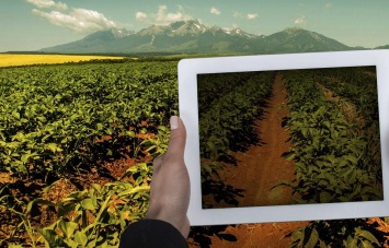 Новые аграрные технологии становятся лакомым кусочком на рынке