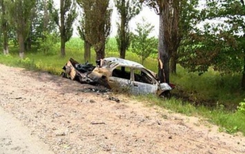 В Винницкой области автомобиль врезалось в дерево и загорелось, погибли 4 человека