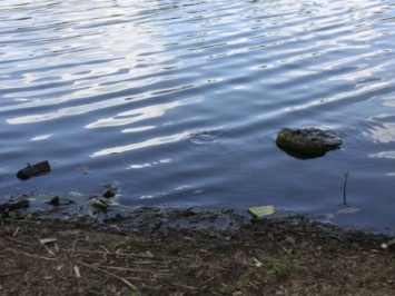 Женщина утонула в реке в Винницкой области