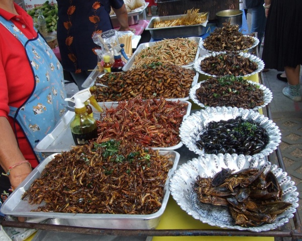 Британские ученые научат людей любить блюда из жуков и тараканов