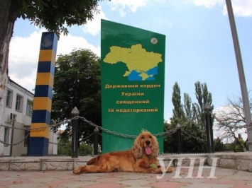 Соревнования среди собак-пограничников прошли в Херсоне