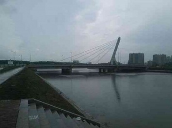 Жители Петербурга не в восторге от появления моста Кадырова