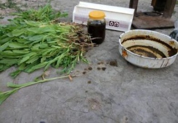 Жительница Васильковского района засадила огород опийным маком на продажу