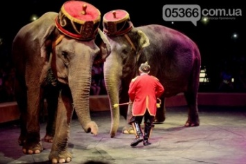 «Восхитительное шоу WOOZU - это настоящее произведение циркового искусства» (фото и видео)