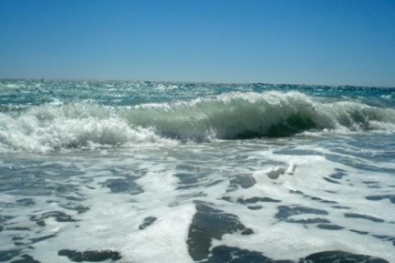 Водолазы «Крым-Спаса» очистили дно 54-х ялтинских пляжей