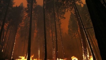 Калифорнию охватили масштабные пожары: сотни людей эвакуированы