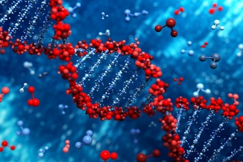 В США рассмотрят первую заявку на внесение изменений в геном человека