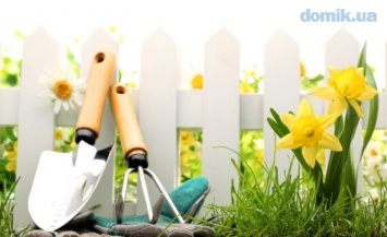 Cоздаем красивый сад: 10 полезных советов