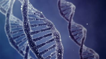 От живых компьютеров к нанороботам: где еще можно применить ДНК?