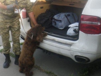 В КПВВ "Чонгар" служебная собака обнаружила боеприпасы из Крыма