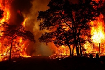 Херсонщина - пожароопасная зона