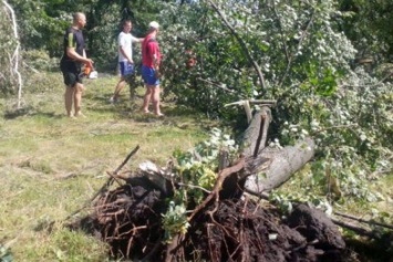 На Полтавщине полицейские убирали вывороченные ураганом деревья