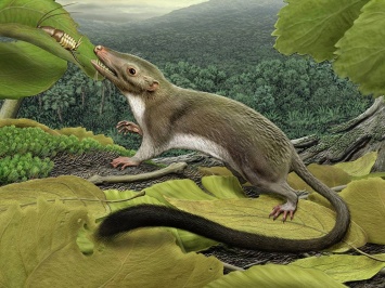 Ученые выяснили судьбу млекопитающих, живших вместе с динозаврами