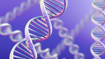 Искусственную ДНК научили повышенной электропроводимости