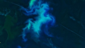 Как расцветает океан: уникальные фото со спутника (фото)