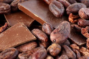 Обезжиренный шоколад приготовят с помощью электричества