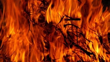 На Кипре горит лес: погиб уже второй пожарный
