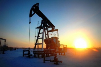 Китаю удалось импортировать рекордный объем нефти из России