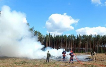 В Украине из-за жары растет число лесных пожаров