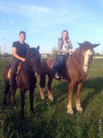 Одесская полиция с собаками ищет двух украденных лошадей