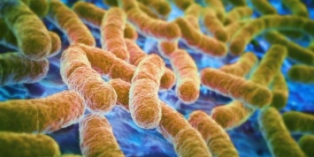 Дефицит клетчатки в рационе связали с пищевыми аллергиями