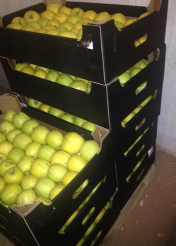 В Симферополе уничтожили более 70 кг польских яблок, найденных на складе в Севастополе (ФОТО)
