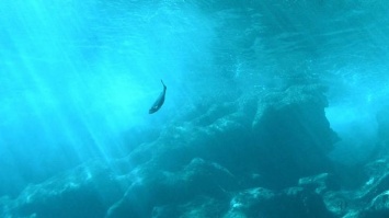 В подводной пещере мексиканского Пуэрто-Морелос найдены "адские колокола"